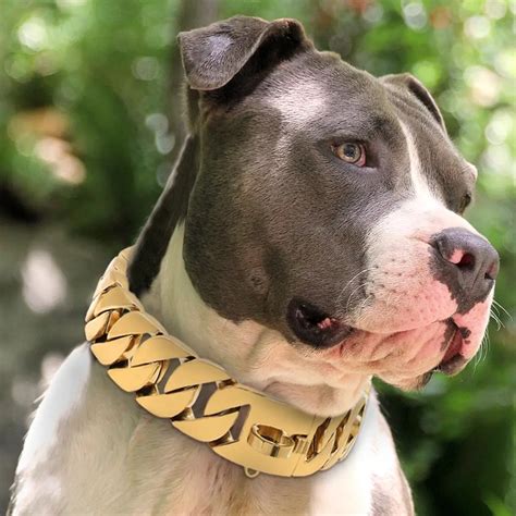 thick chain collar for dogs|chain dog collars for pitbulls.